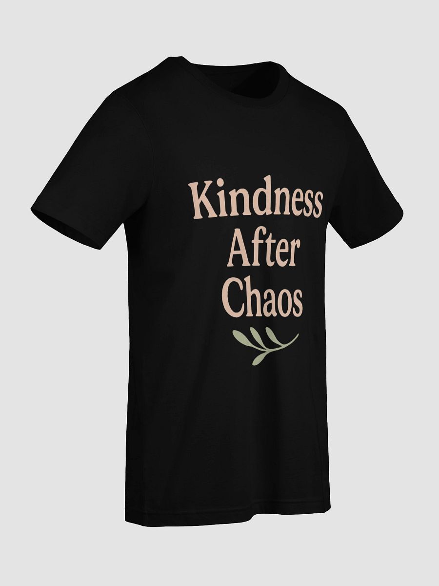 Kindness After Chaos Tee product image (6)