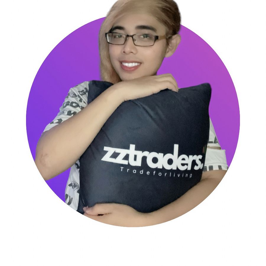 ZZTrader Pillow (First Edition) product image (2)