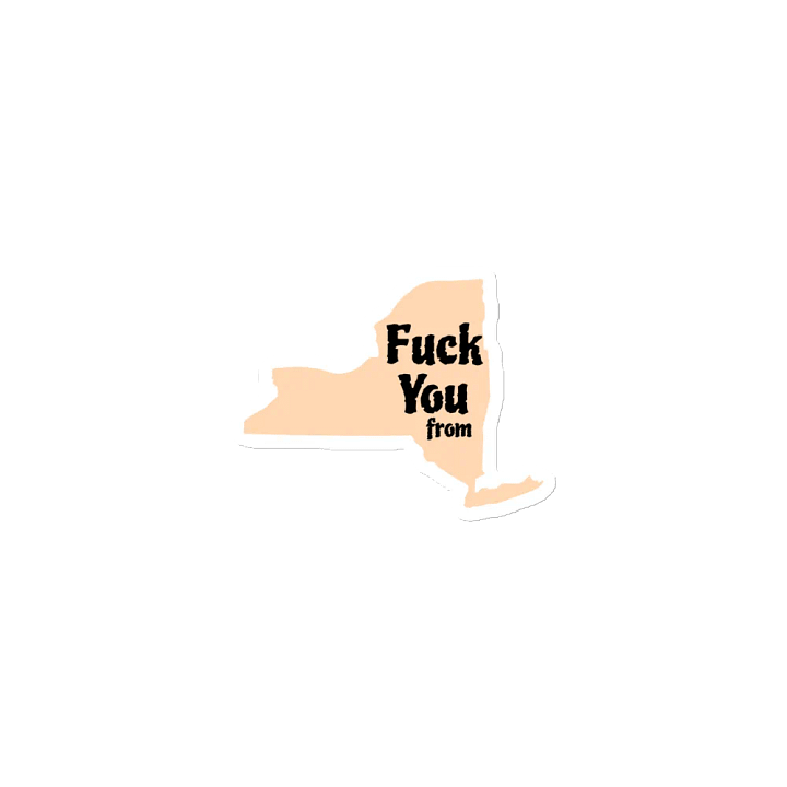 NY State Profanity Die-Cut Magnets product image (1)