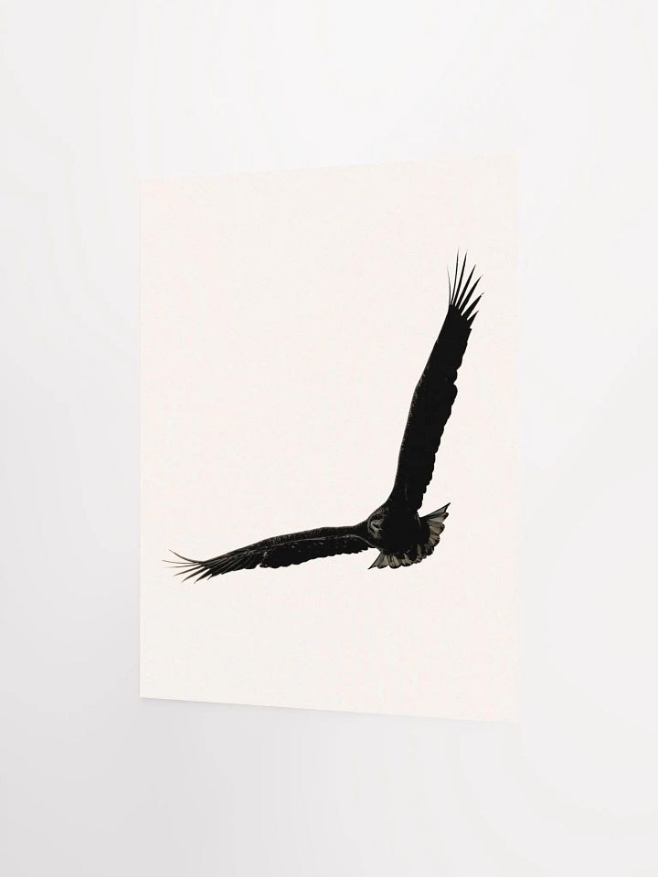 Flight of the Silhouette: Matte Poster Print product image (12)