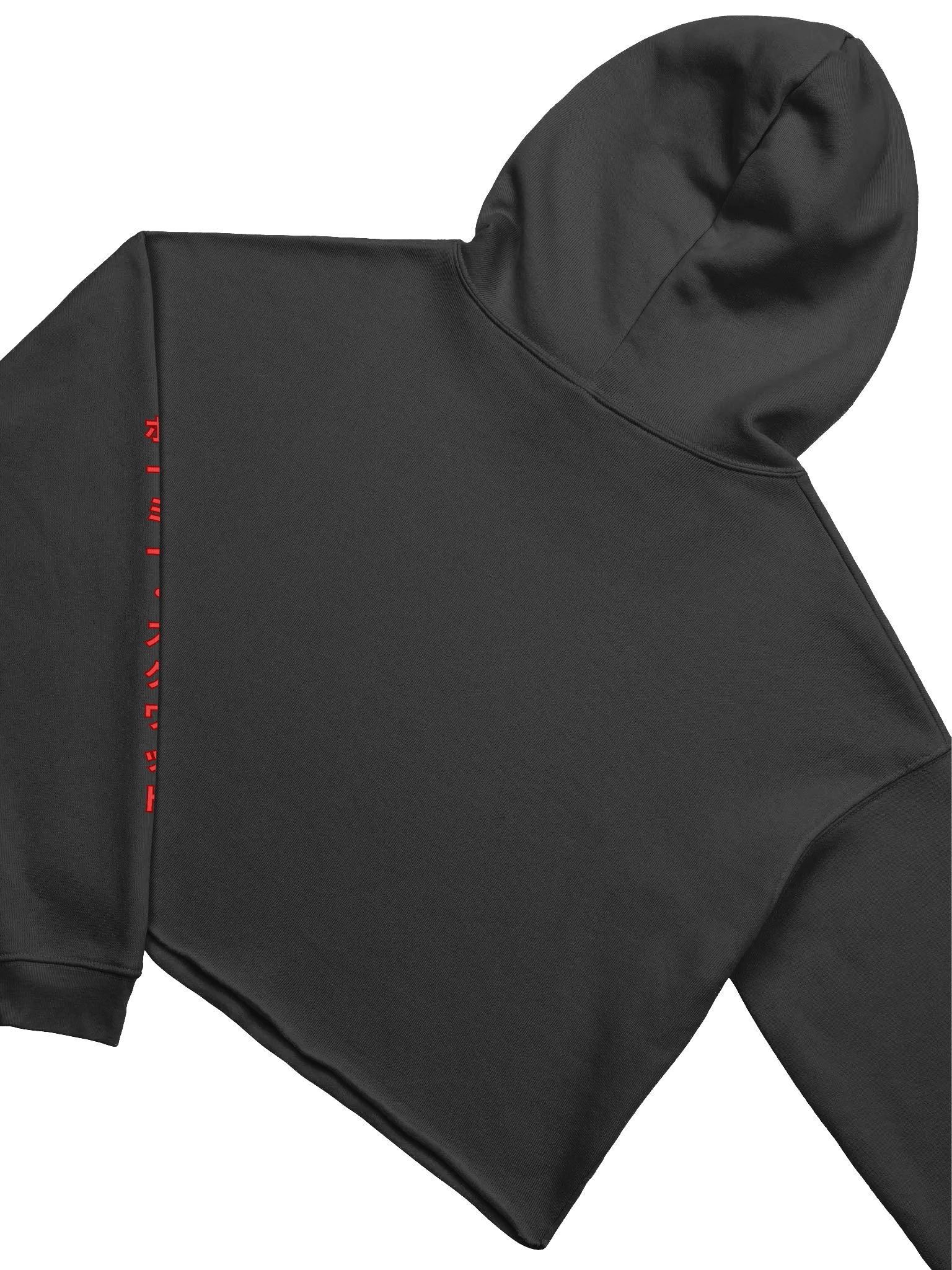 Y2K Style Cropped Hoodie V2 product image (4)