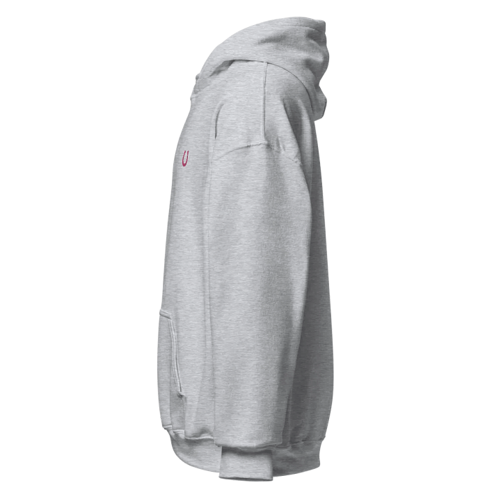 horseshoe embroidered hoodie product image (2)