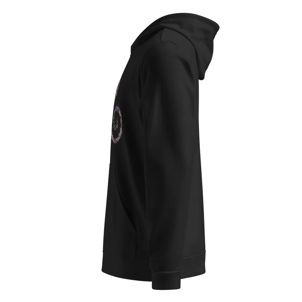 Rainbow Triskelion Spirals Hoodie product image (2)