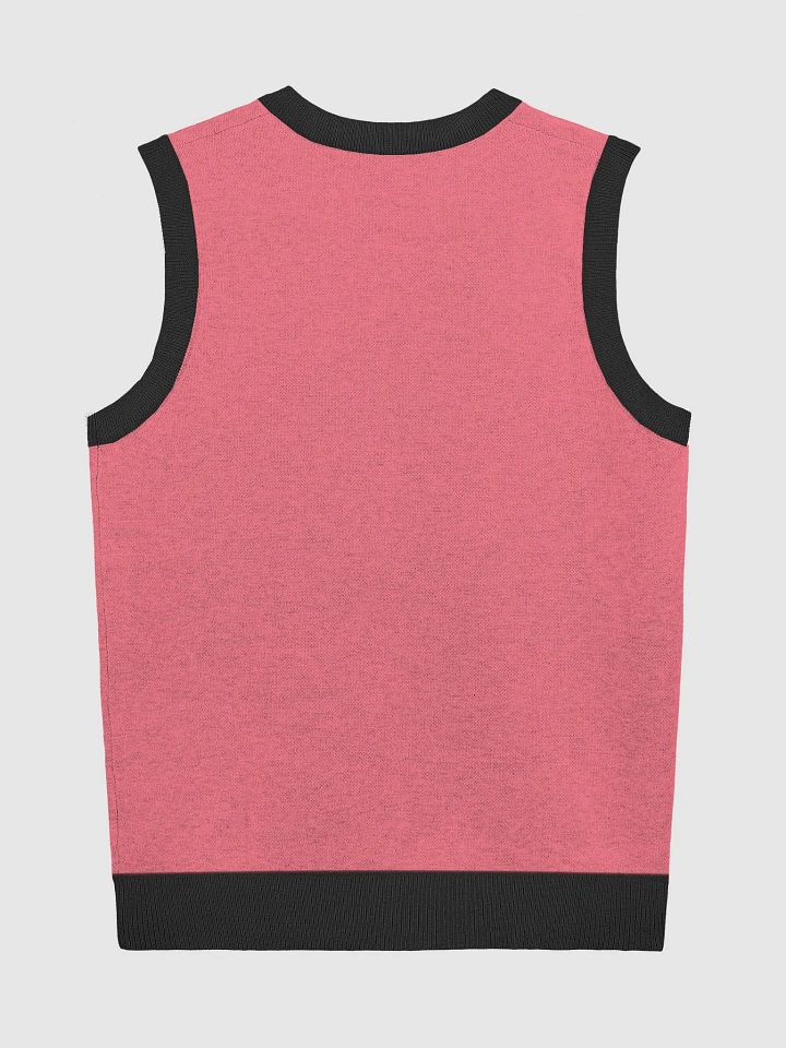 PLEASE DON'T MAKE ME TALK (hot pink and black) knitwear vest product image (8)