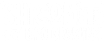 Shroomate Merch & More