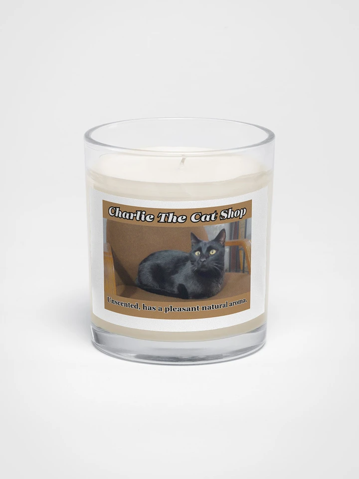 Panther The Cat Soy Wax Candle In A Clear Glass Jar product image (1)