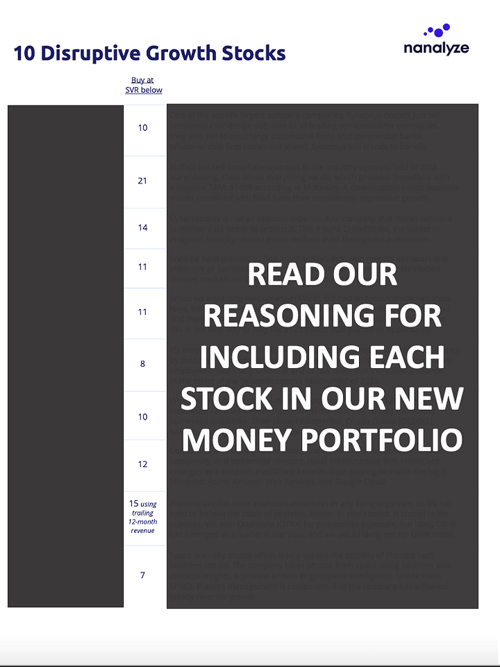 Nanalyze New Money Portfolio product image (2)
