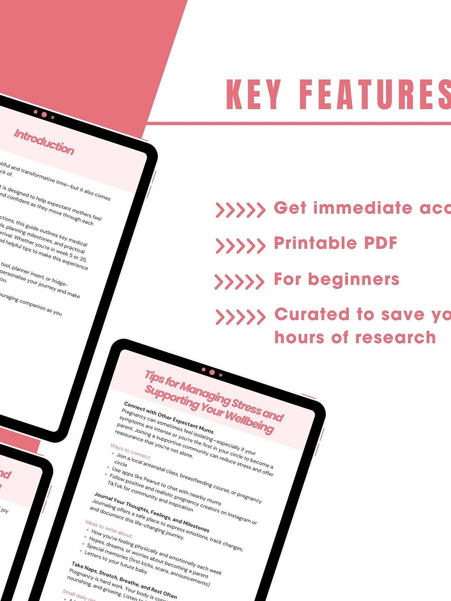 Printable Pregnancy Trimester Checklist product image (3)