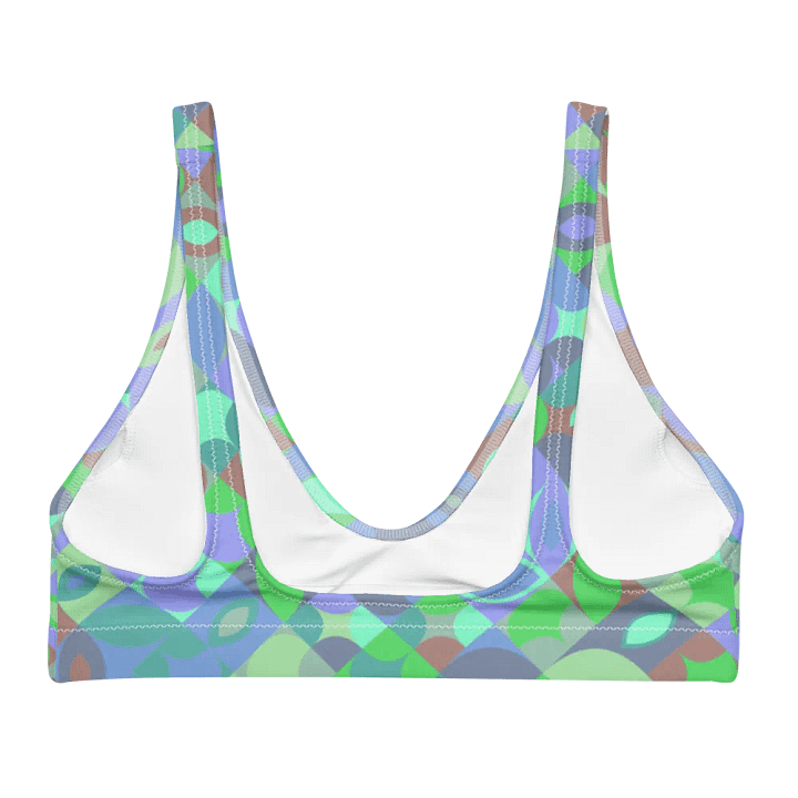 Colorful Vector Patterns Design Padded Bikini Top - v10 product image (1)