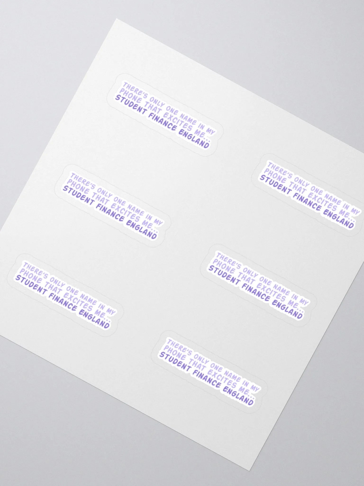 Student Finance Sticker (MEDIUM Sheet) product image (2)