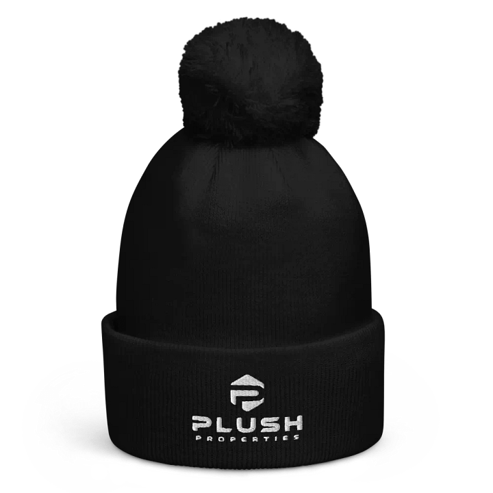 Plush Pom-Pom Beanie product image (1)