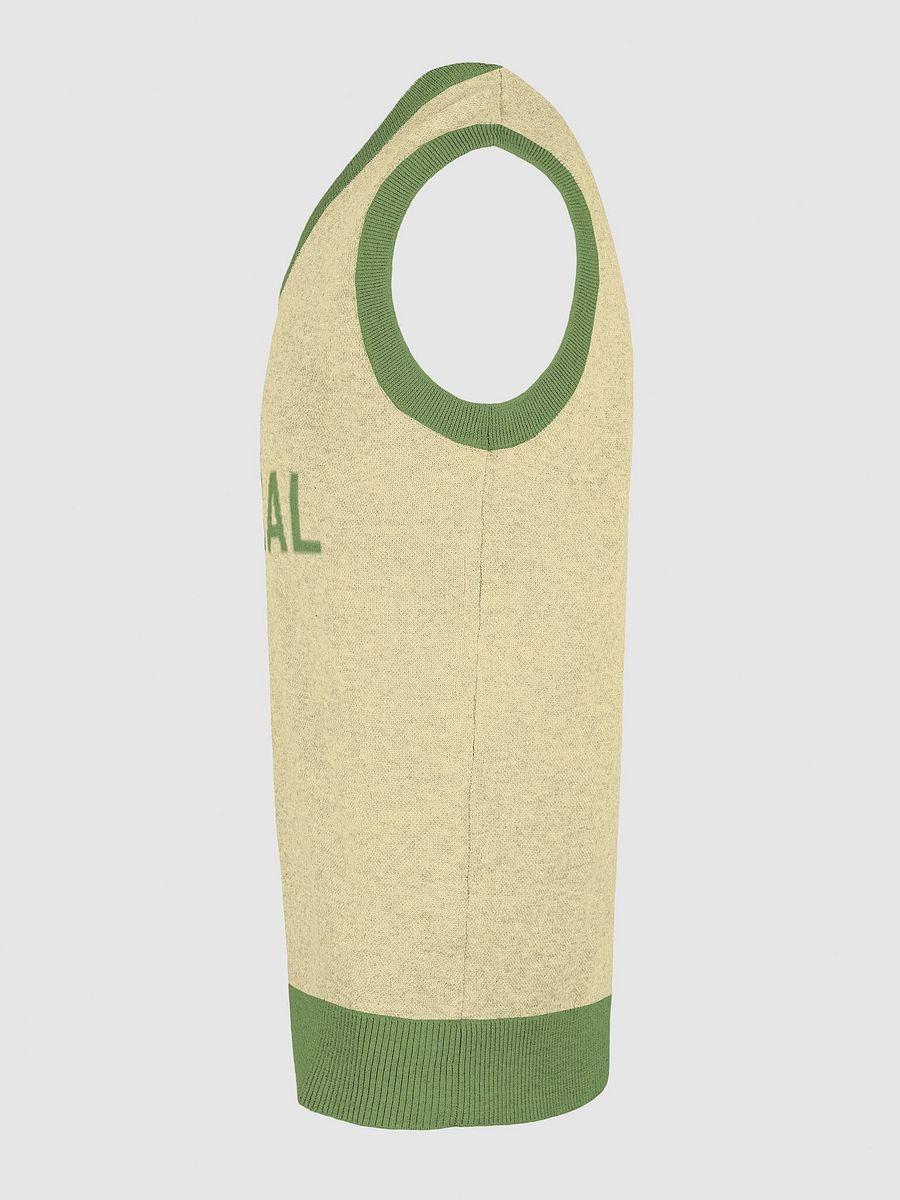 HYPERVERBAL (meadow) knitwear vest product image (28)