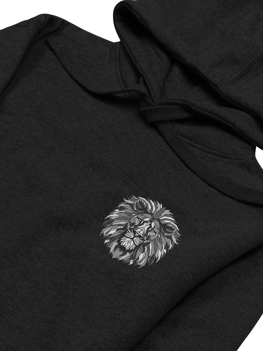 Lion of Judah Abstract | Hoodie product image (3)