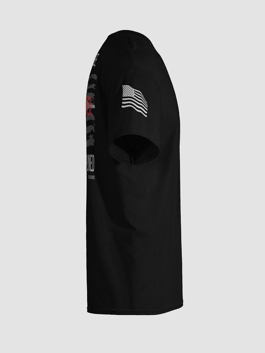 Stay Free, Stay Armed, Stay Disciplined product image (4)