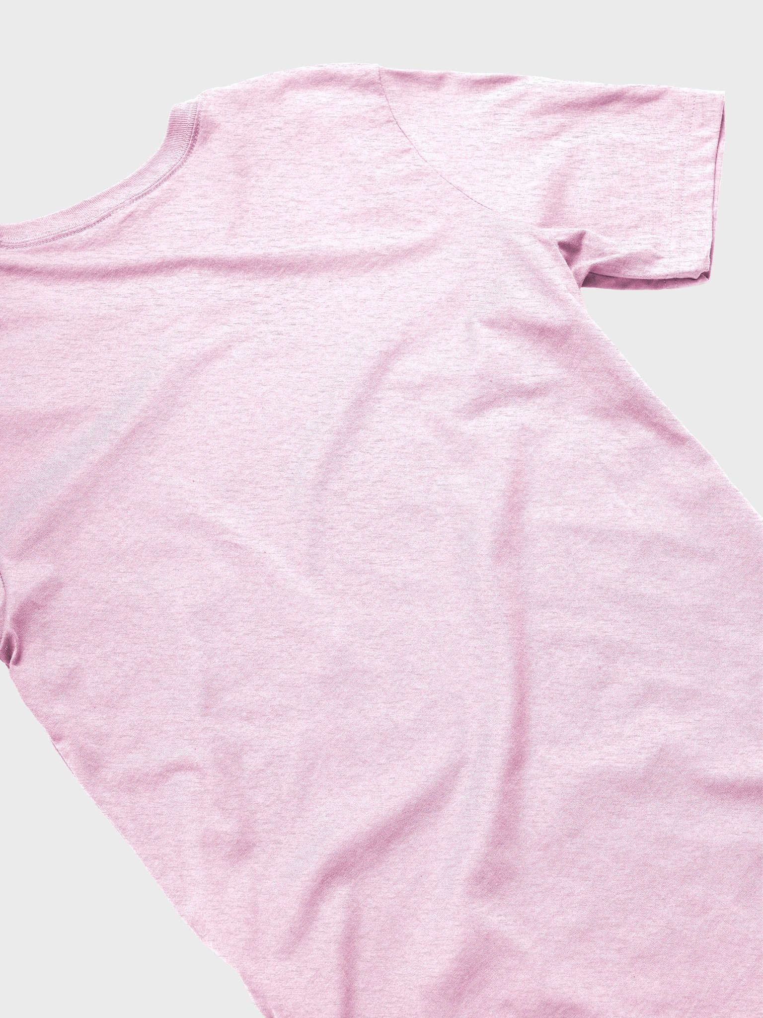 Friend Shrimps Unisex Tee (Large Front Design) product image (39)