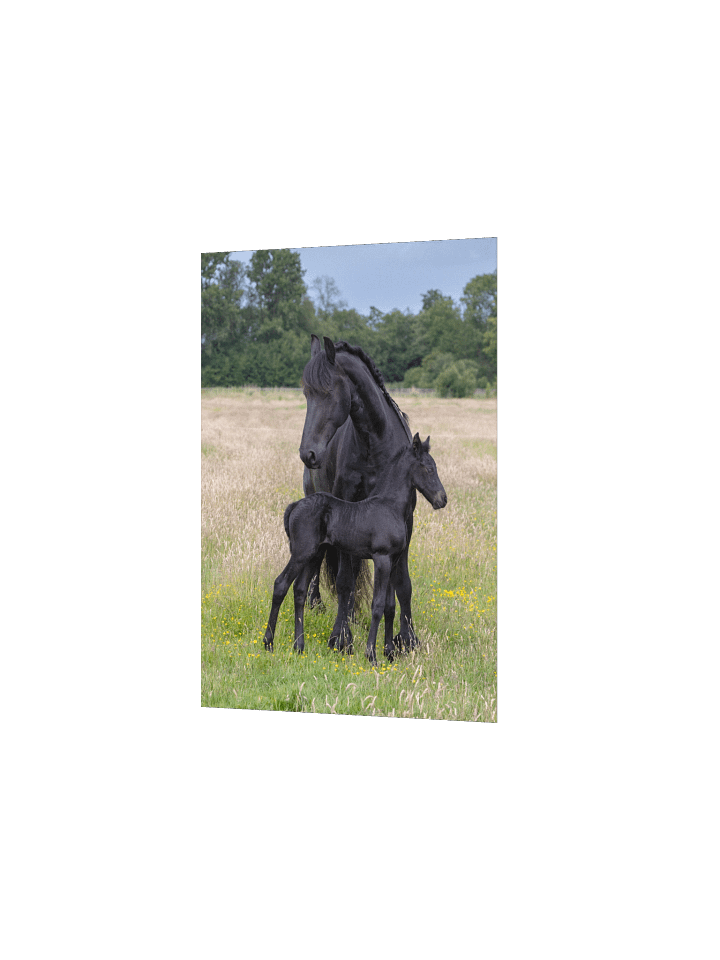 Reintje & Dolly product image (2)