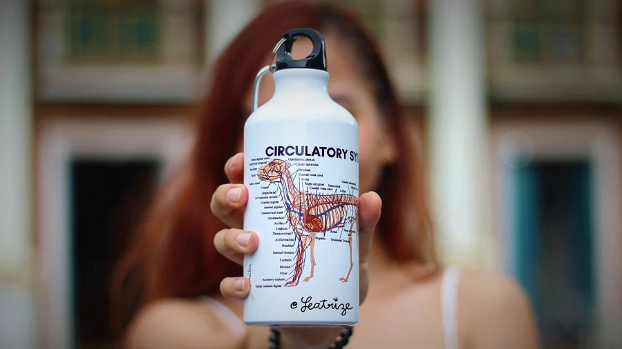 Canine Body System Sports Jug Set product image (8)