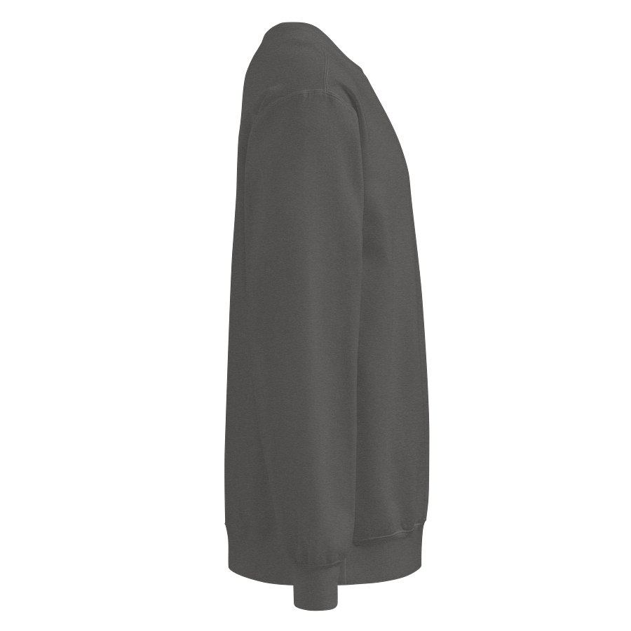 Classic Logo Crewneck product image (4)