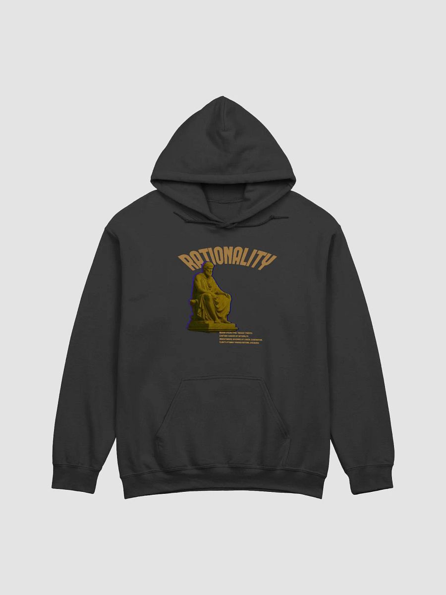 Rationality Hoodie product image (1)