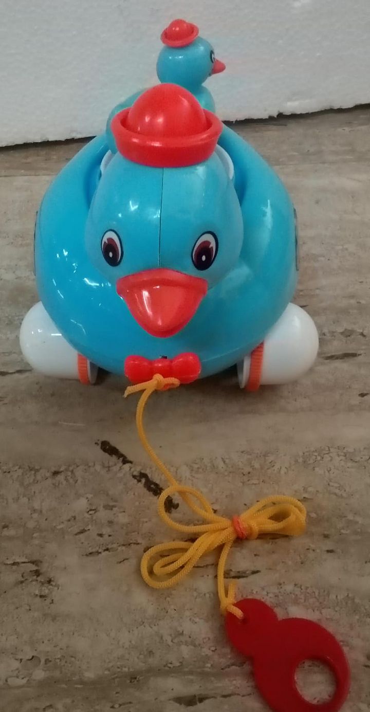 ACTION DUCK TOY product image (1)