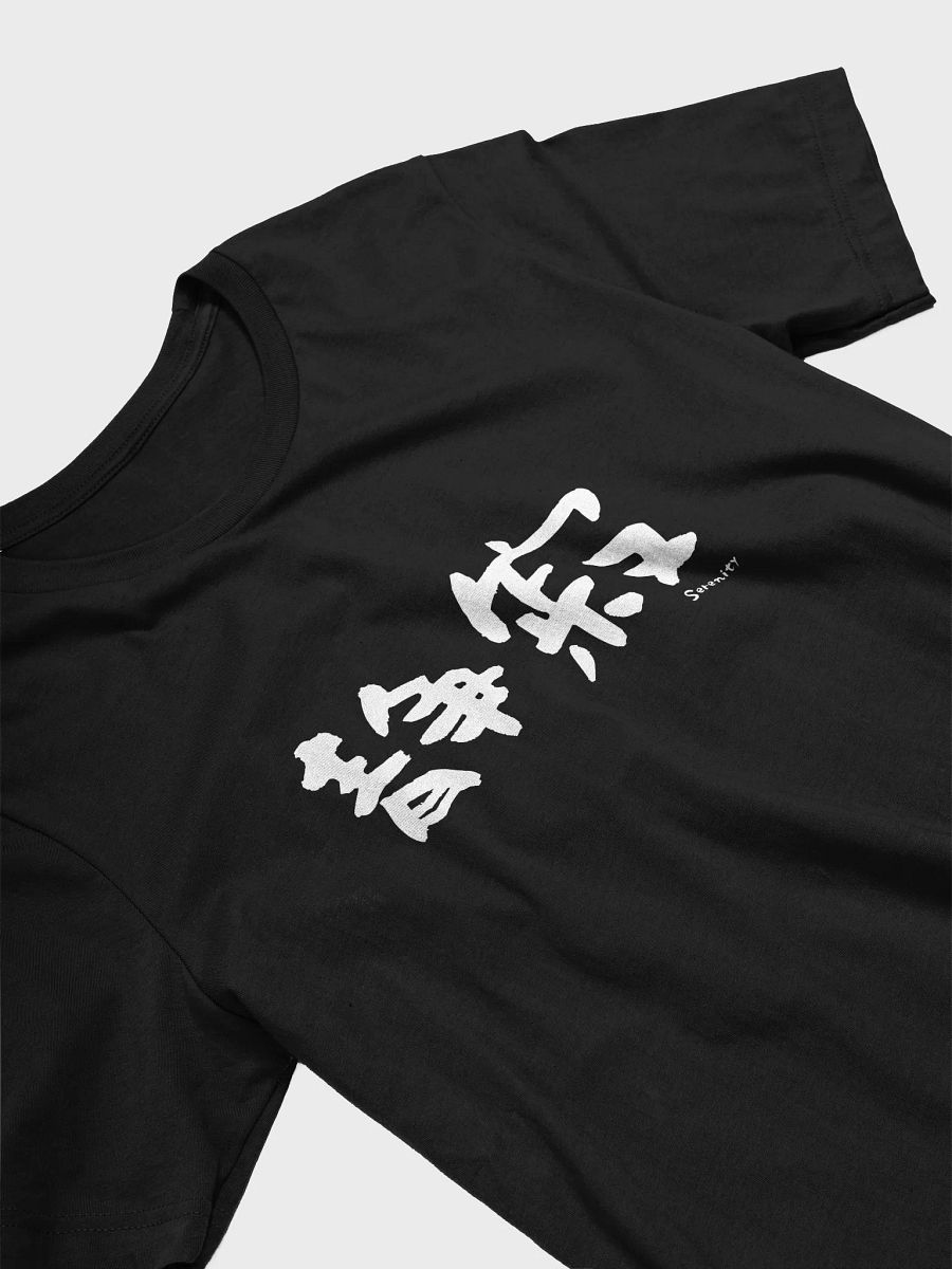 Seijaku 静寂 Shirt – Japanese "Serenity" Tee for Calm Vibes product image (21)