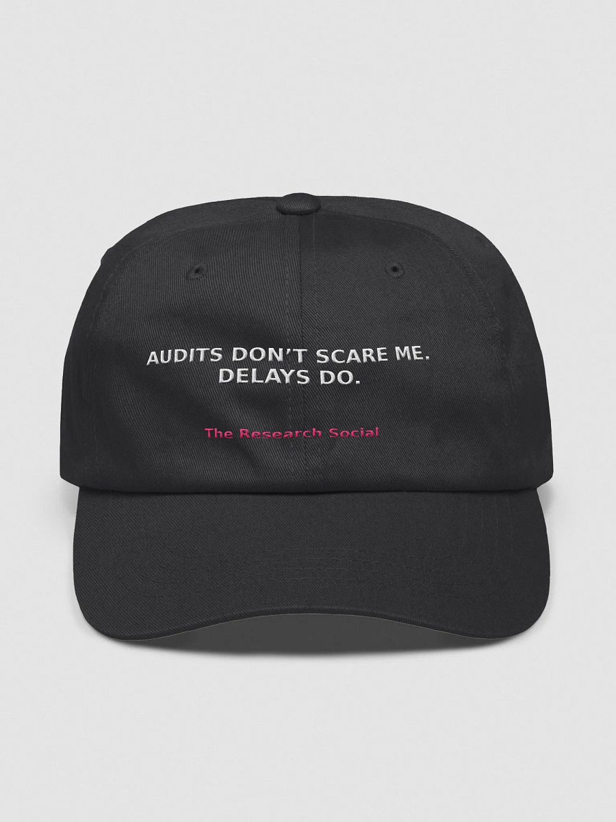 Audits Don’t Scare Me – Embroidered Hat product image (7)
