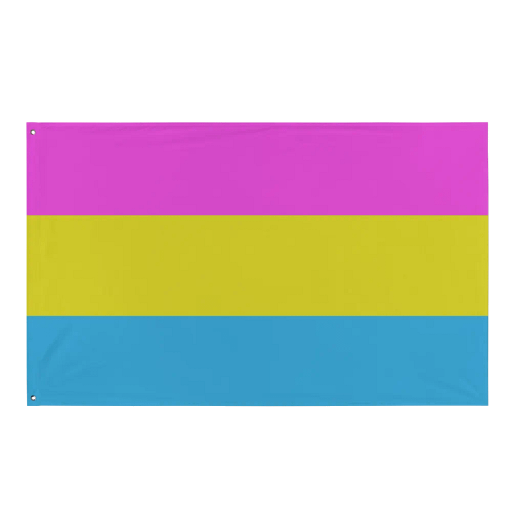 Pan Pride Flag product image (1)