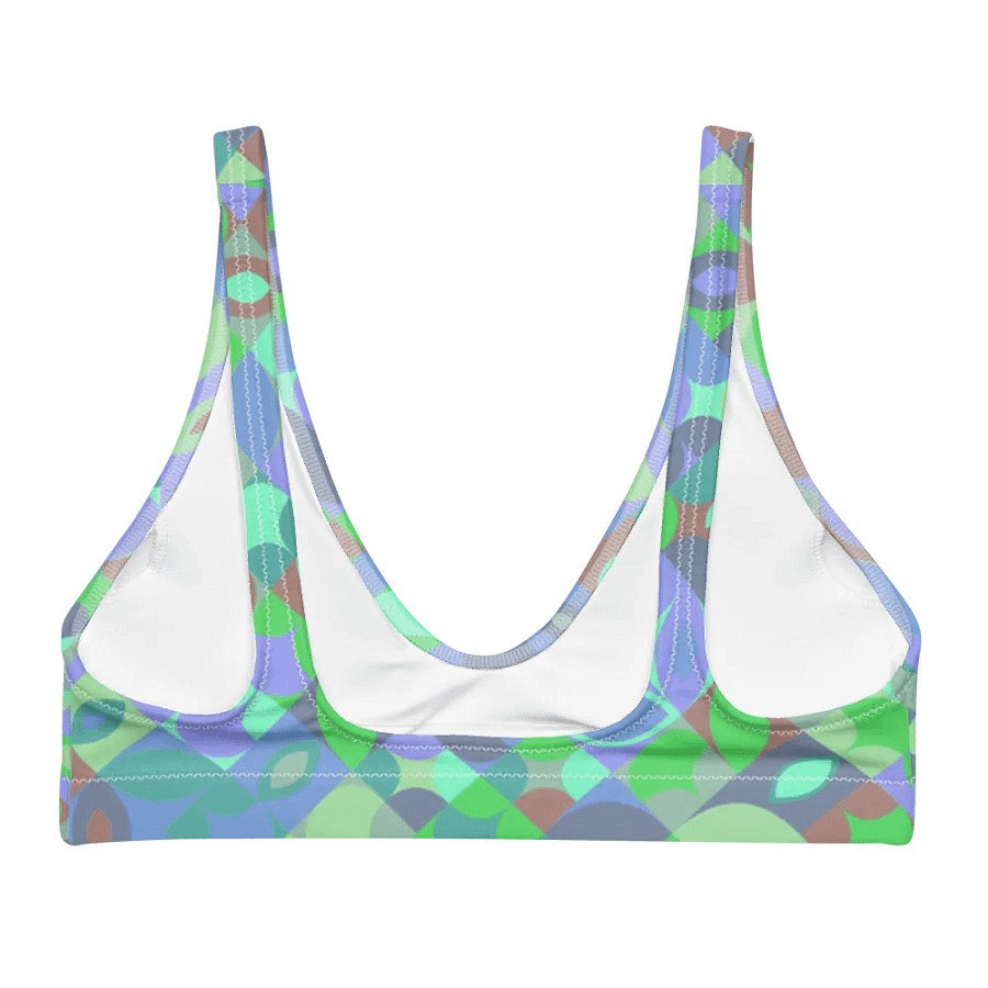 Colorful Vector Patterns Design Padded Bikini Top - v10 product image (1)