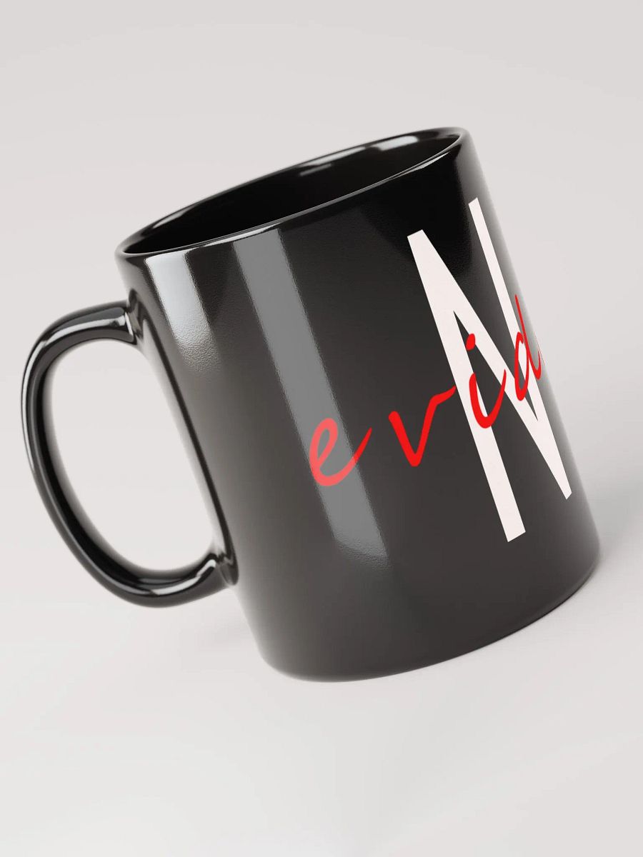 No Evidence Mug product image (2)