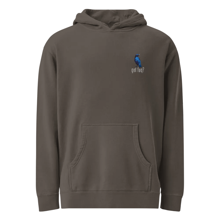 Ron Collection - Embroidered Hoodie product image (1)