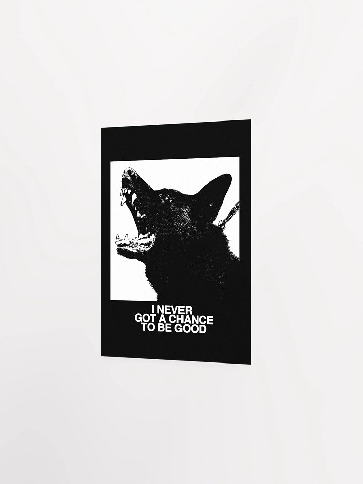 CHANCE - Poster product image (21)