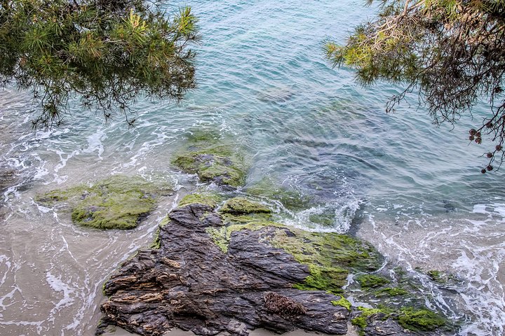 Whispering Shore – Rayol Canadel product image (1)