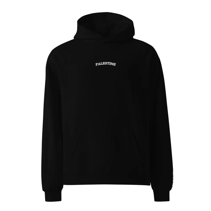 Palestine (From The River To The Sea) Oversized Hoodie product image (1)