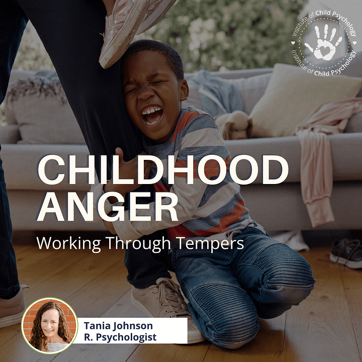 Childhood Anger: Working Through Tempers [E-Course] product image (1)