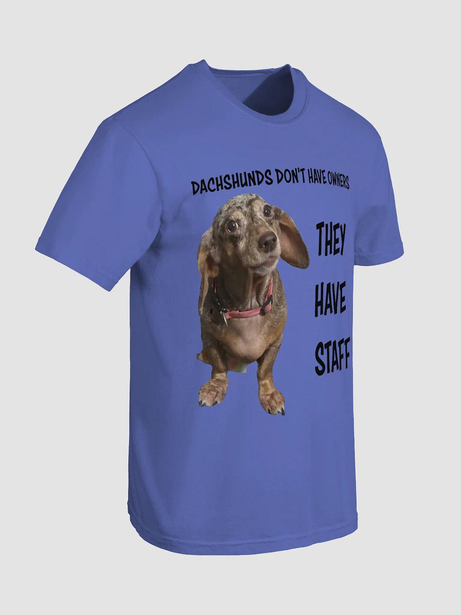Dachshunds Have Staff product image (85)