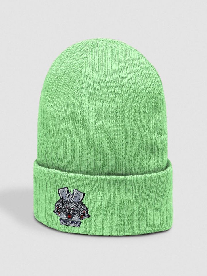 RAW47 Beanie product image (13)