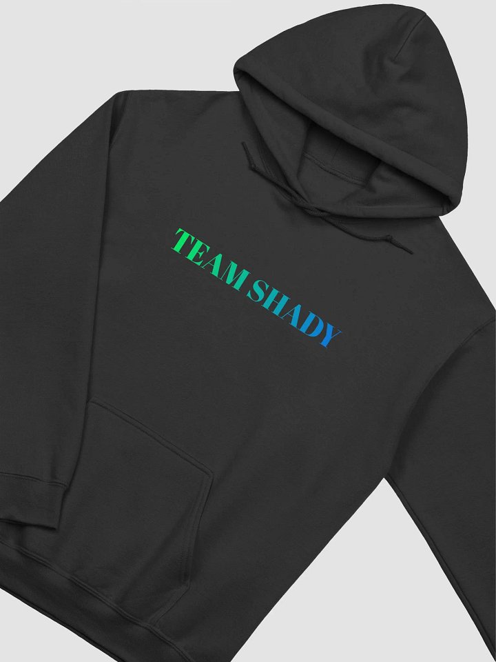 Team Shady Group Hoodie product image (10)