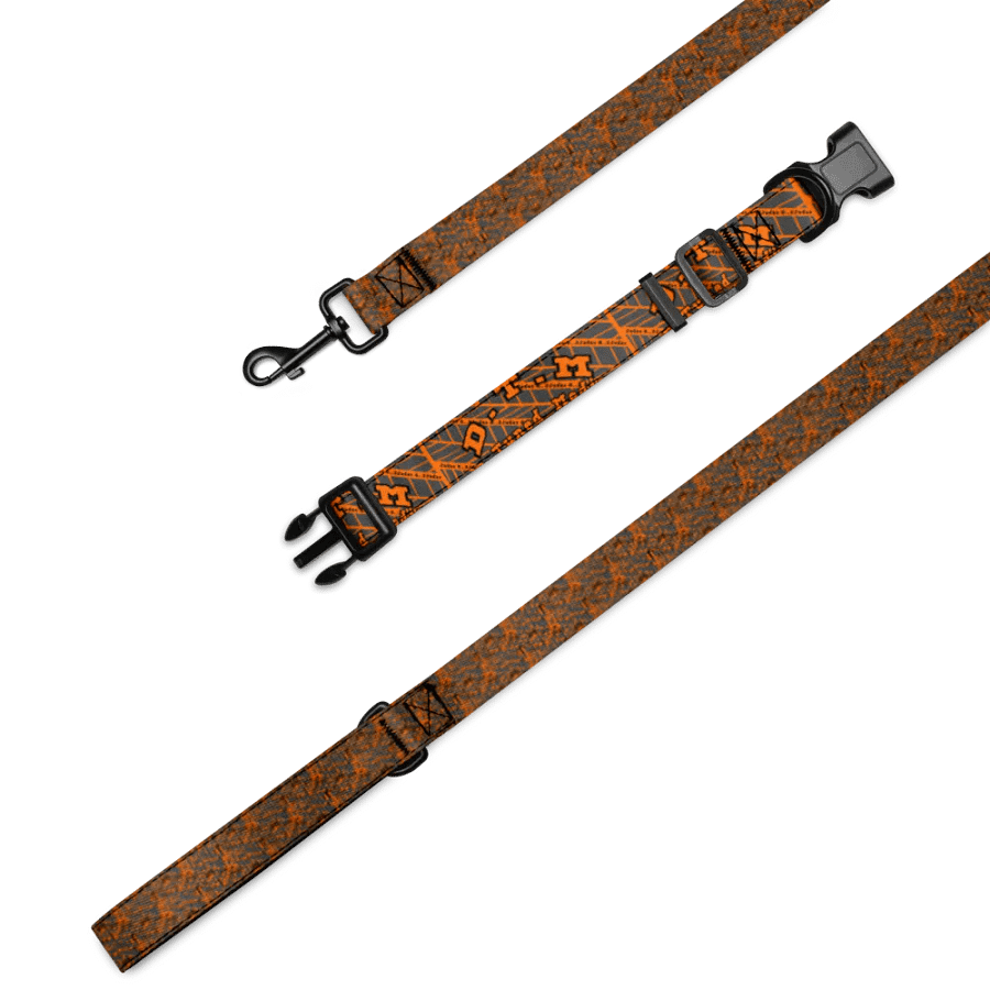 Vibrant Barcode Pet Collar & Leash Set product image (1)