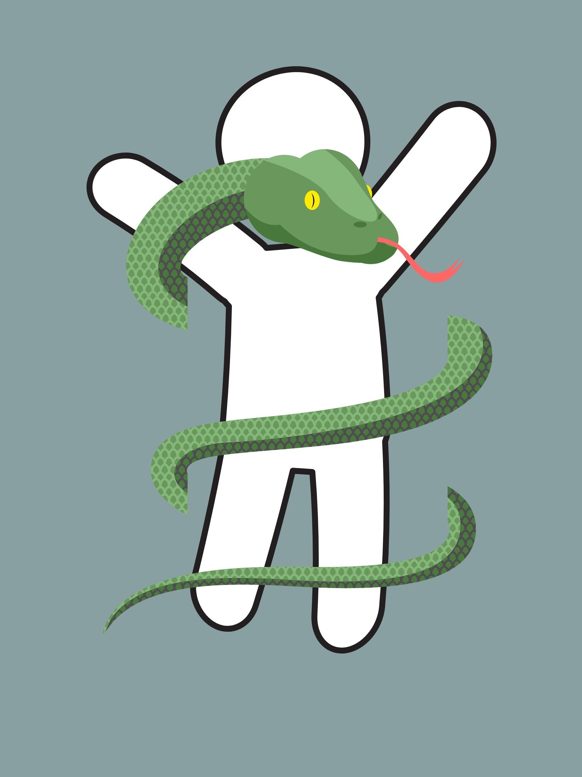 Top 20 of the most venomous Snakes Worldwide product image (6)
