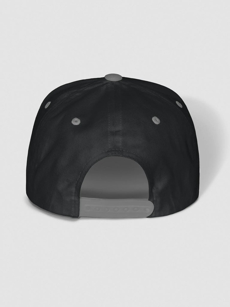 You Cant Please Everyone, So Do It For Yourself - Embroidered - Flat Snapback Cap product image (4)