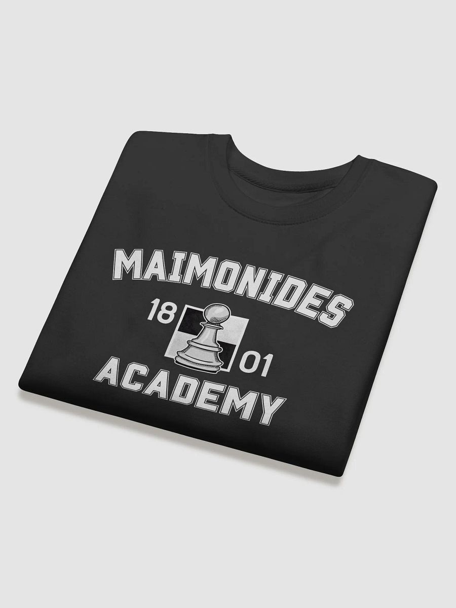 Maimonides Academy (No Back) - White Pawn - Sweater product image (4)