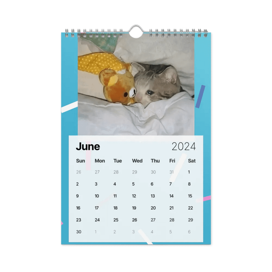 Wall Calendar (2024): Meme Cats product image (12)