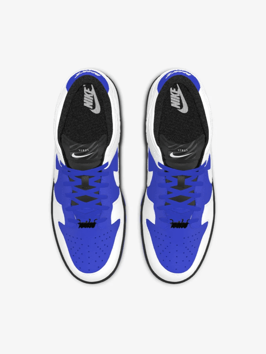 Alluci x Nike Verus Probe Low Retro Dunk product image (1)