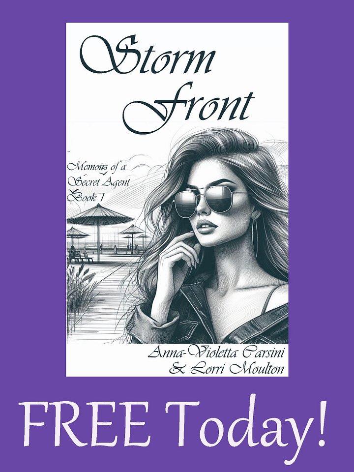 Storm Front EBOOK - FREE TODAY! product image (1)