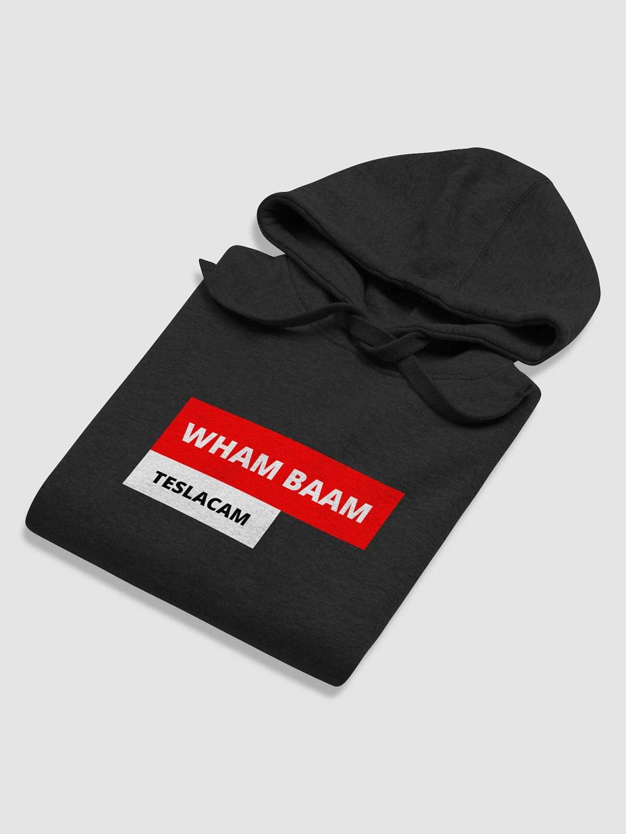 TESLACAM HOODIE product image (5)