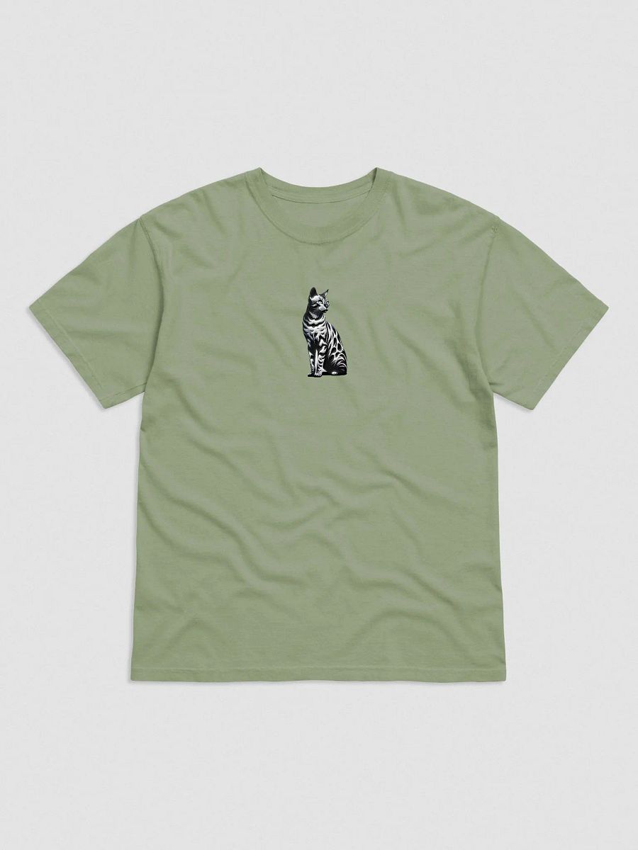 Comfort Colors Garment-Dyed Heavyweight T-Shirt: Bengal product image (2)