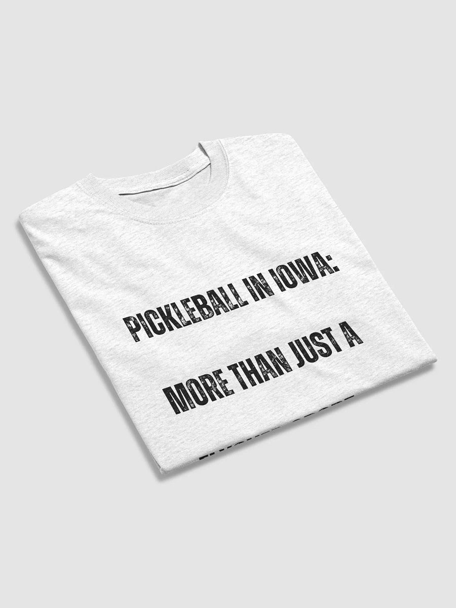 Pickleball Flyover Tee product image (25)