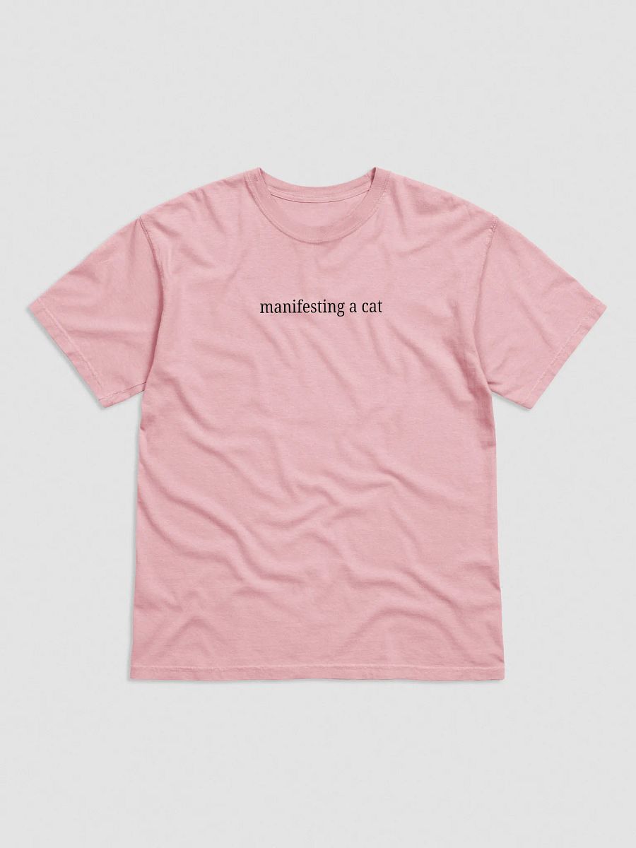 Manifesting A Cat - Tee product image (1)
