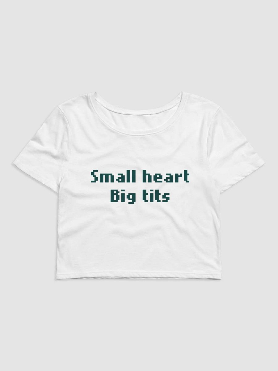 BIG TITS BABY TEE product image (1)