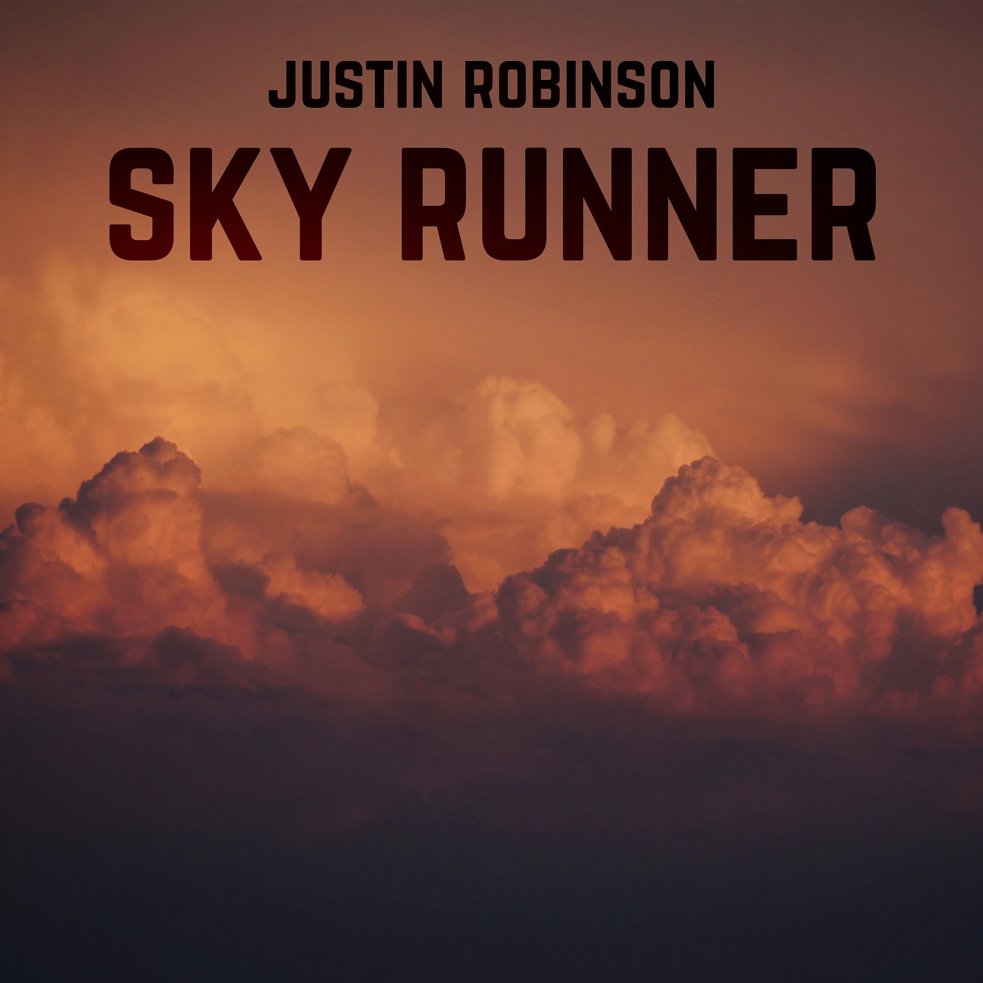 Sky Runner product image (1)